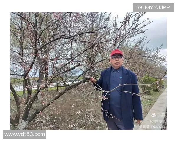 足球明星放羊高清图片展现运动员别样生活风貌与自然之美